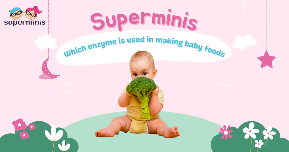 Which enzyme is used in making baby foods